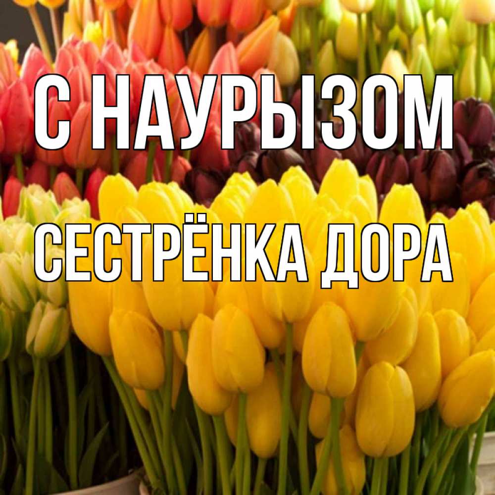 Открытка на каждый день с именем, Сестрёнка-Дора С наурызом цветы Прикольная открытка с пожеланием онлайн скачать бесплатно 