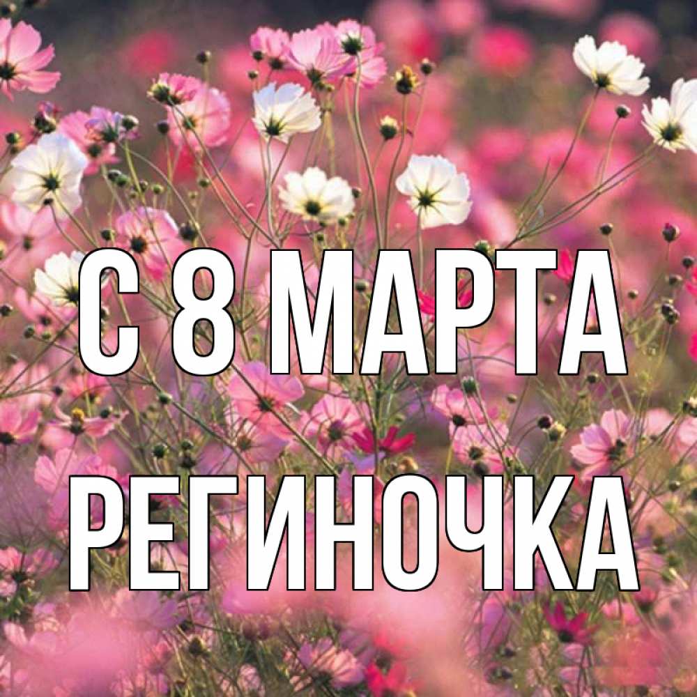Открытка на каждый день с именем, Региночка С 8 марта красиво 1 Прикольная открытка с пожеланием онлайн скачать бесплатно 