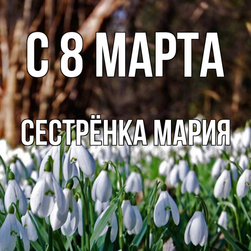 Открытка на каждый день с именем, Сестрёнка-Мария С 8 МАРТА с подснежниками 1 Прикольная открытка с пожеланием онлайн скачать бесплатно 