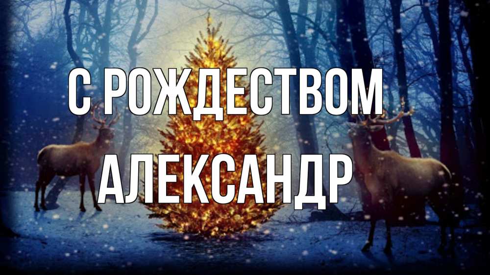 Открытка на каждый день с именем, Александр С рождеством олени, новогодняя елка Прикольная открытка с пожеланием онлайн скачать бесплатно 