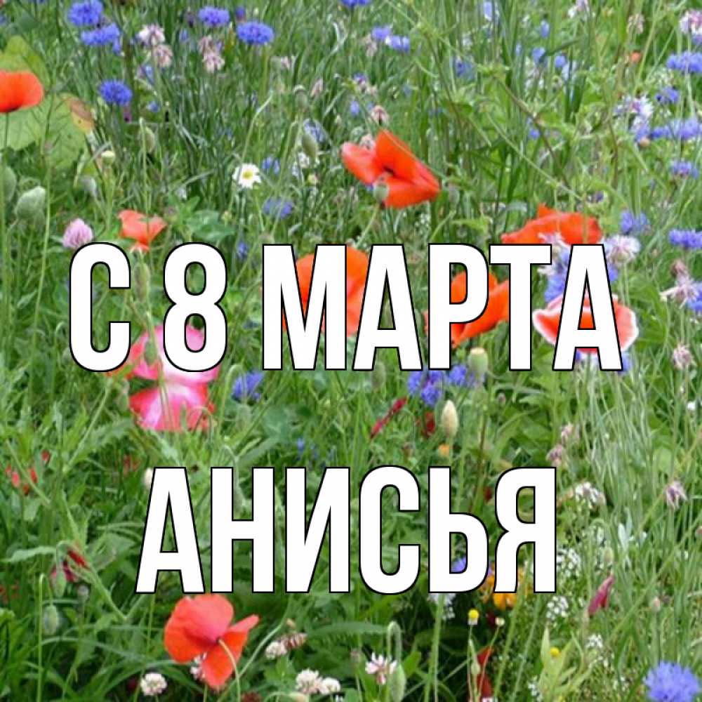 Открытка на каждый день с именем, Анисья С 8 марта международный женский день 4 Прикольная открытка с пожеланием онлайн скачать бесплатно 