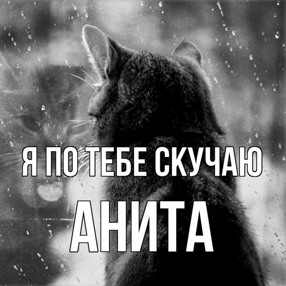 Открытка на каждый день с именем, Анита Я по тебе скучаю скорее ко мне приходи 1 Прикольная открытка с пожеланием онлайн скачать бесплатно 