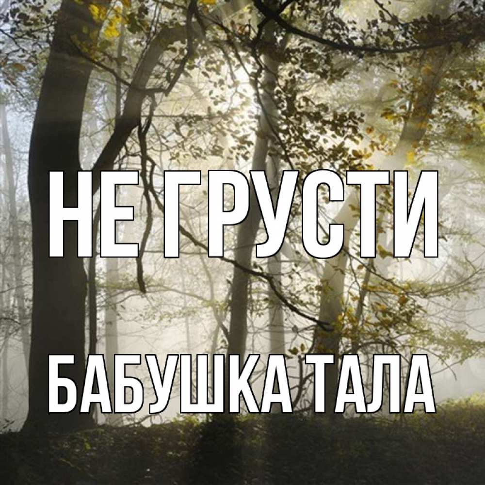 Открытка на каждый день с именем, Бабушка-Тала Не грусти лес и свет Прикольная открытка с пожеланием онлайн скачать бесплатно 