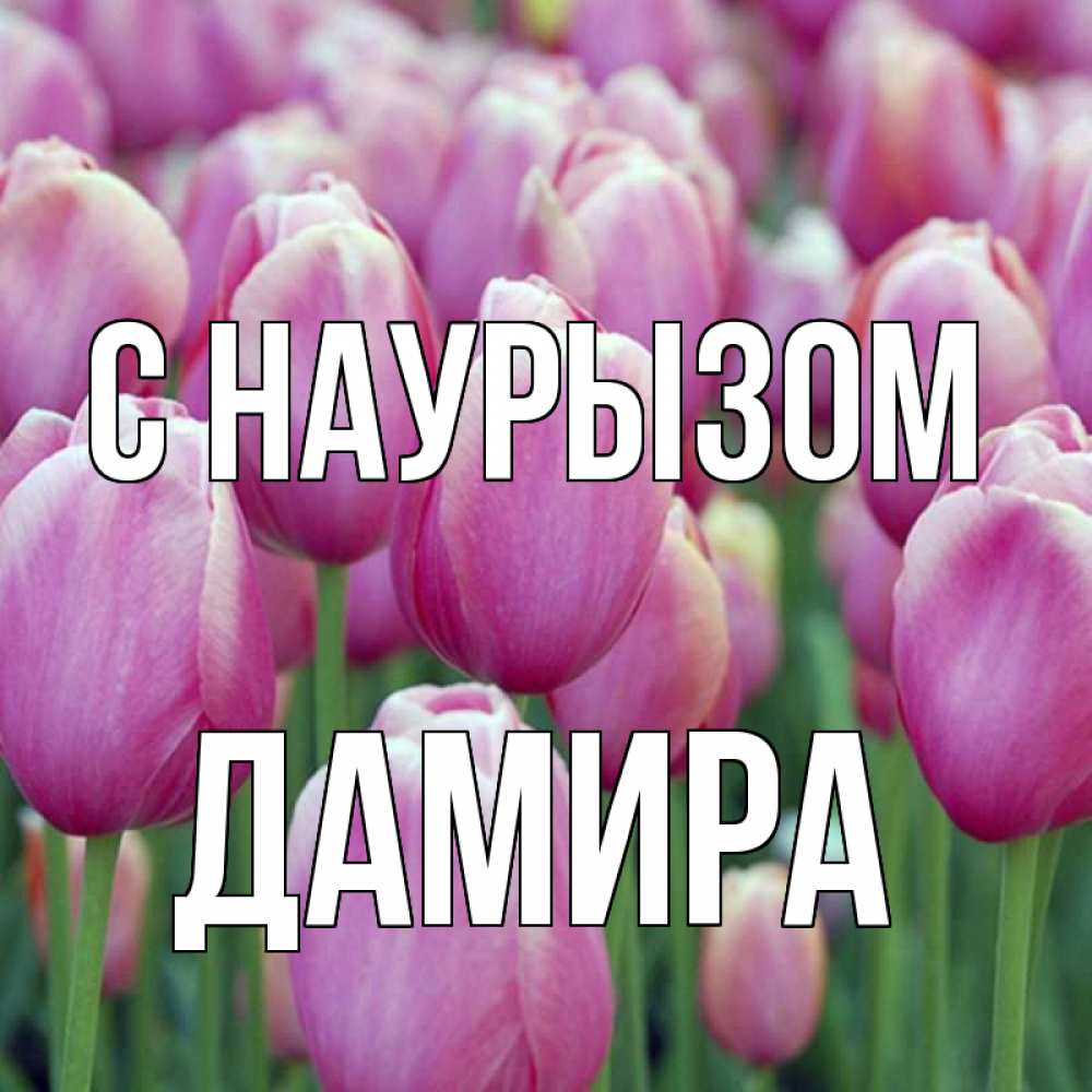 Открытка на каждый день с именем, Дамира С наурызом праздник весны наурыз 69 Прикольная открытка с пожеланием онлайн скачать бесплатно 