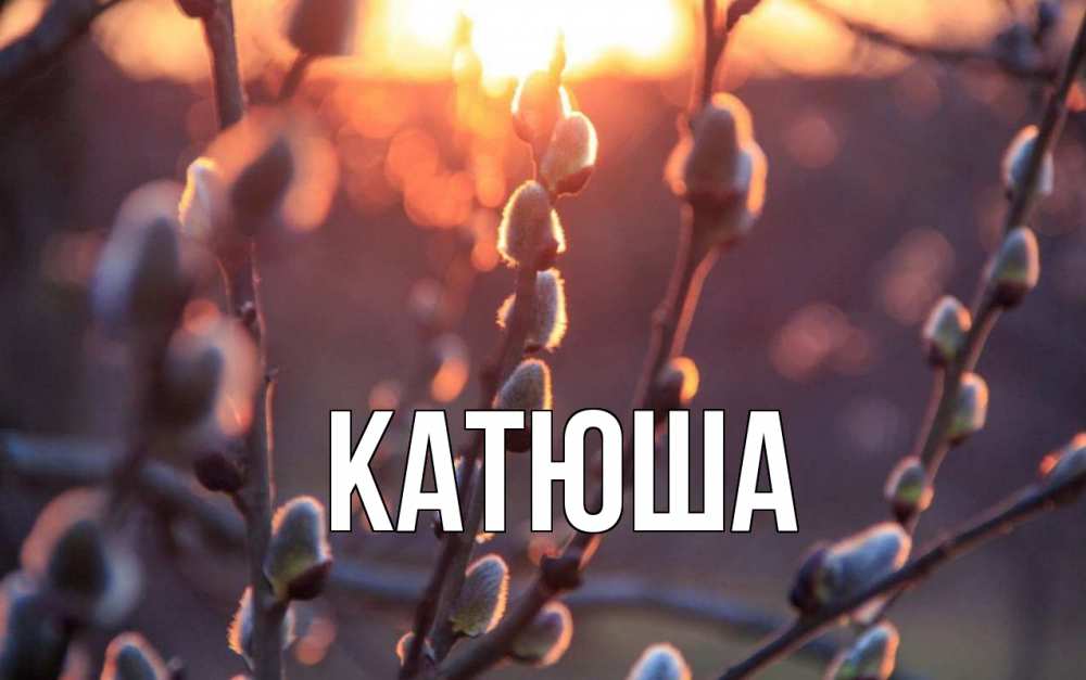 Открытка на каждый день с именем, Катюша Главная верба Прикольная открытка с пожеланием онлайн скачать бесплатно 