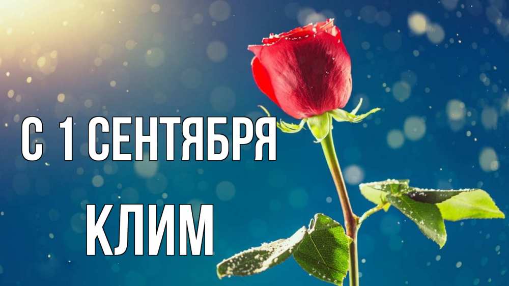 Открытка на каждый день с именем, Клим С 1 сентября с днем знаний Прикольная открытка с пожеланием онлайн скачать бесплатно 