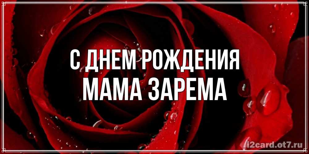 Открытка на каждый день с именем, Мама-Зарема С днем рождения крупная бордовая роза Прикольная открытка с пожеланием онлайн скачать бесплатно 