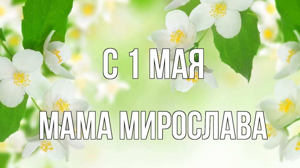 Открытка на каждый день с именем, Мама-Мирослава С 1 мая С 1 мая Прикольная открытка с пожеланием онлайн скачать бесплатно 