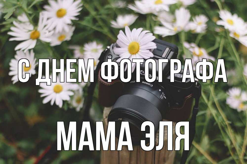 Открытка на каждый день с именем, Мама-Эля С днем фотографа с днем фотографа Прикольная открытка с пожеланием онлайн скачать бесплатно 