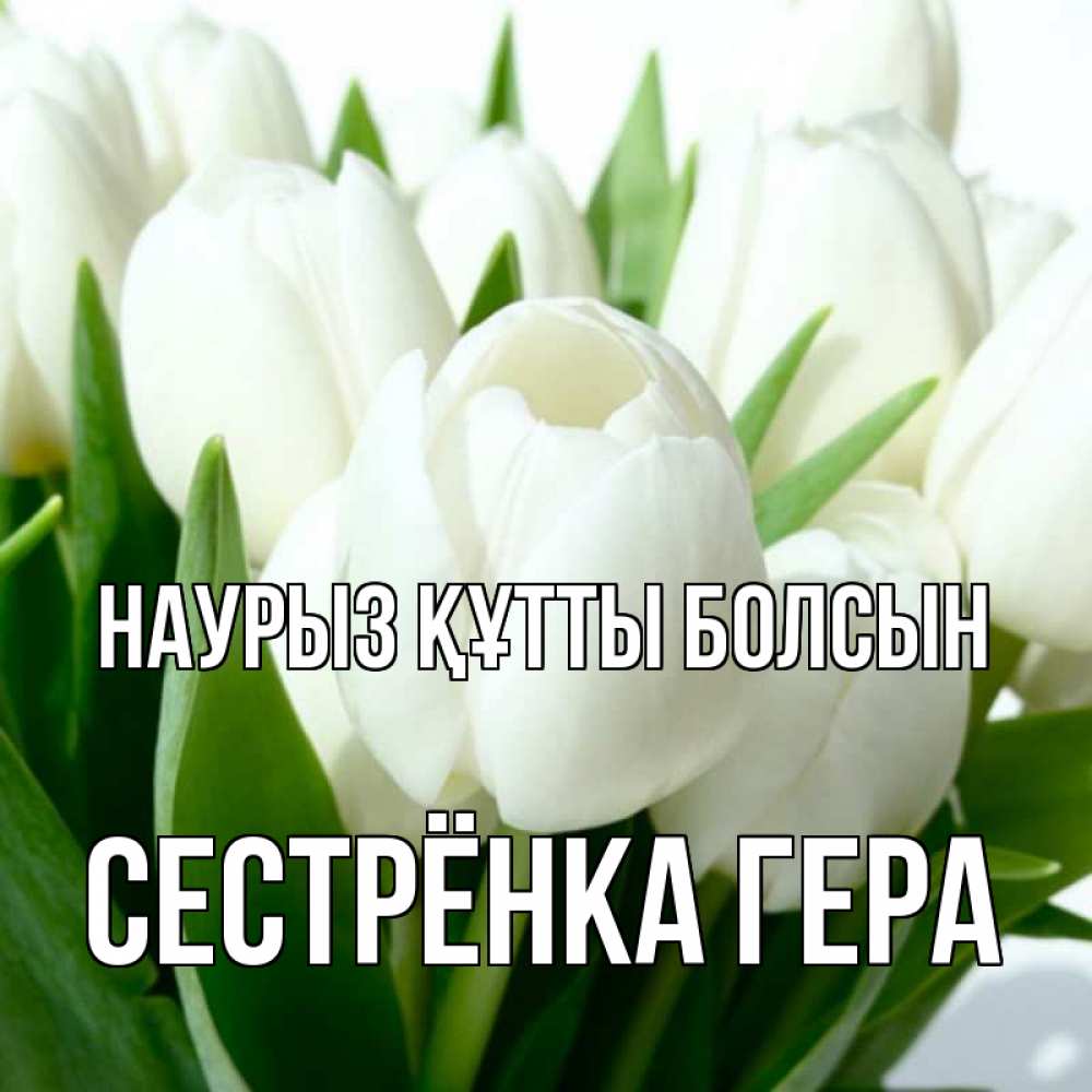 Открытка на каждый день с именем, Сестрёнка-Гера Наурыз құтты болсын цветы Прикольная открытка с пожеланием онлайн скачать бесплатно 