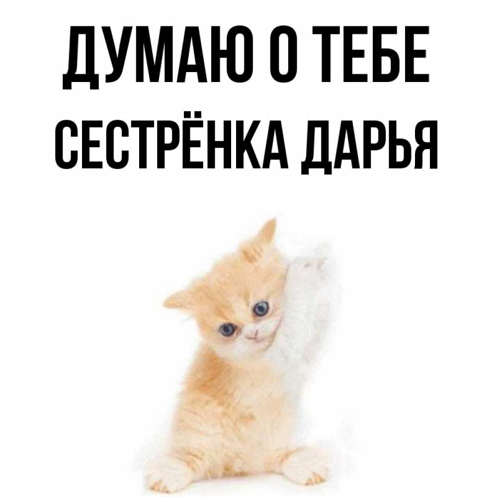 Открытка на каждый день с именем, Сестрёнка-Дарья Думаю о тебе зверушки и милота Прикольная открытка с пожеланием онлайн скачать бесплатно 
