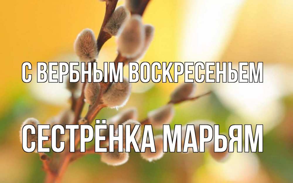 Открытка на каждый день с именем, Сестрёнка-Марьям С вербным воскресеньем верба Прикольная открытка с пожеланием онлайн скачать бесплатно 