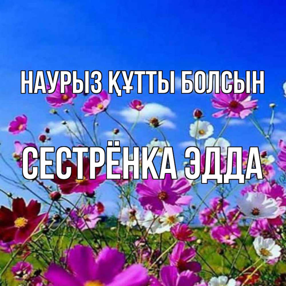 Открытка на каждый день с именем, Сестрёнка-Эдда Наурыз құтты болсын цветы Прикольная открытка с пожеланием онлайн скачать бесплатно 
