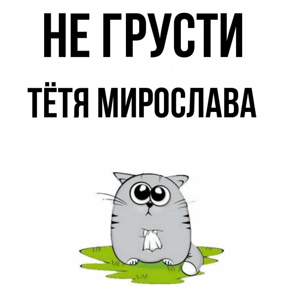Открытка на каждый день с именем, Тётя-Мирослава Не грусти грустный котяра Прикольная открытка с пожеланием онлайн скачать бесплатно 