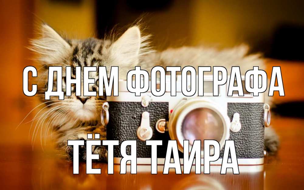 Открытка на каждый день с именем, Тётя-Таира С днем фотографа с днем фотографа Прикольная открытка с пожеланием онлайн скачать бесплатно 