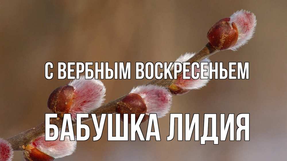 Открытка на каждый день с именем, Бабушка-Лидия С вербным воскресеньем верба Прикольная открытка с пожеланием онлайн скачать бесплатно 