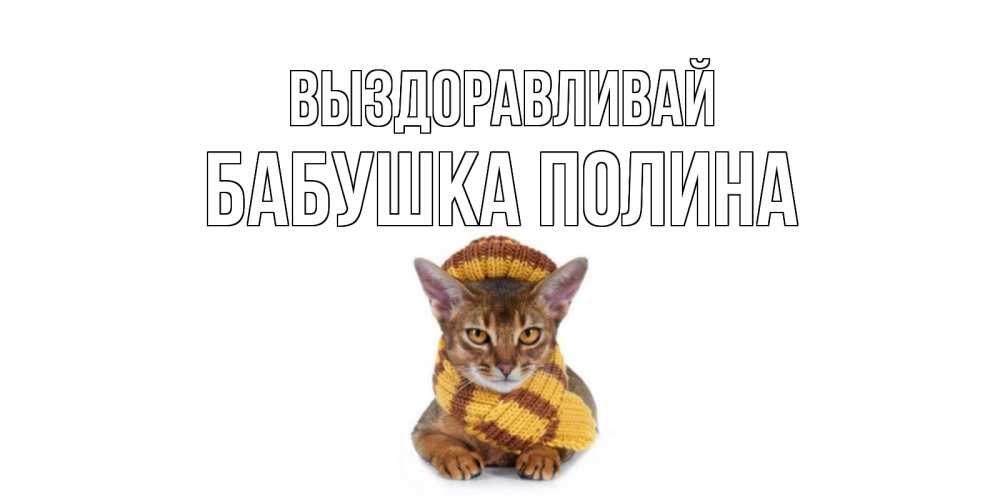 Открытка на каждый день с именем, Бабушка-Полина Выздоравливай родные не болейте Прикольная открытка с пожеланием онлайн скачать бесплатно 