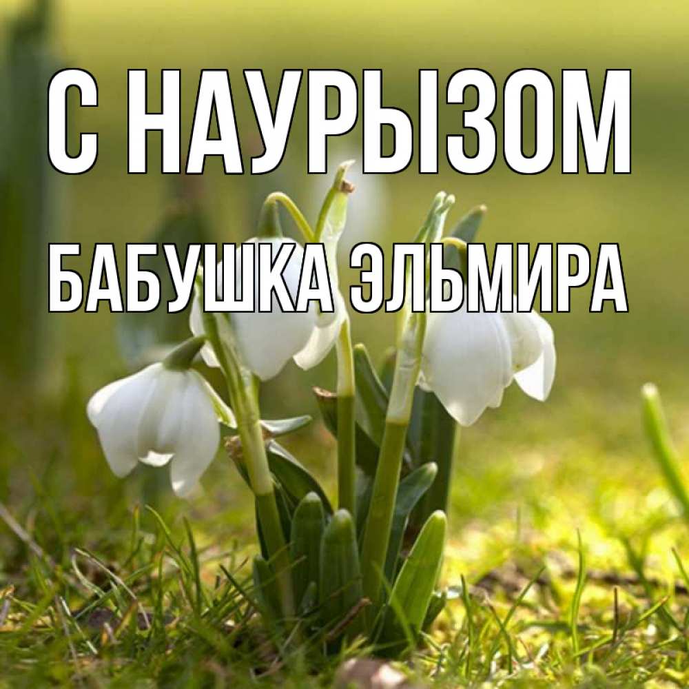 Открытка на каждый день с именем, Бабушка-Эльмира С наурызом ранние цветы 2 Прикольная открытка с пожеланием онлайн скачать бесплатно 