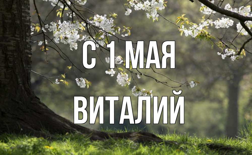 Открытка на каждый день с именем, Виталий С 1 мая С 1 мая Прикольная открытка с пожеланием онлайн скачать бесплатно 
