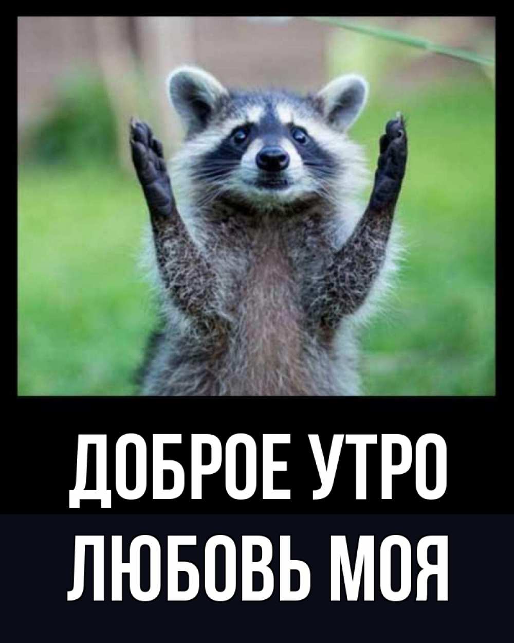 Открытка на каждый день с именем, Любовь-моя Доброе утро хорошее настроение утречком Прикольная открытка с пожеланием онлайн скачать бесплатно 