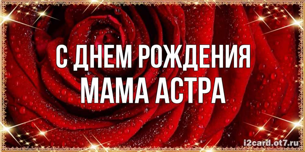 Открытка на каждый день с именем, Мама-Астра С днем рождения роса на розе блестящая в лучах солнца Прикольная открытка с пожеланием онлайн скачать бесплатно 