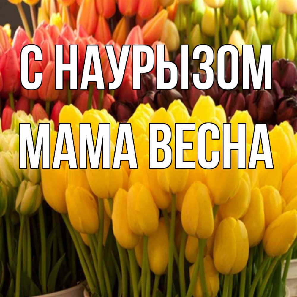 Открытка на каждый день с именем, Мама-Весна С наурызом цветы Прикольная открытка с пожеланием онлайн скачать бесплатно 