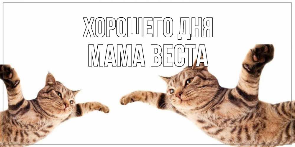 Открытка на каждый день с именем, Мама-Веста Хорошего дня хорошего дня Прикольная открытка с пожеланием онлайн скачать бесплатно 