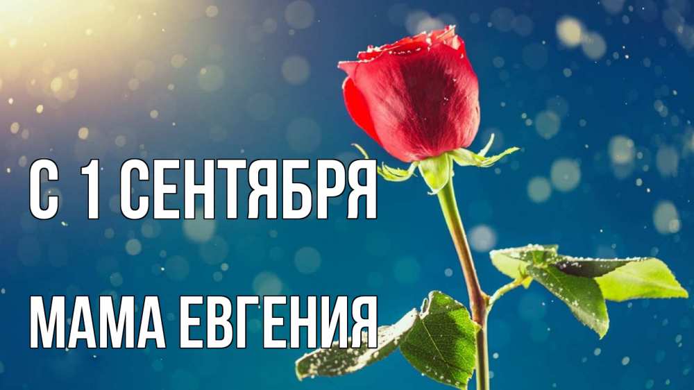 Открытка на каждый день с именем, Мама-Евгения С 1 сентября с днем знаний Прикольная открытка с пожеланием онлайн скачать бесплатно 