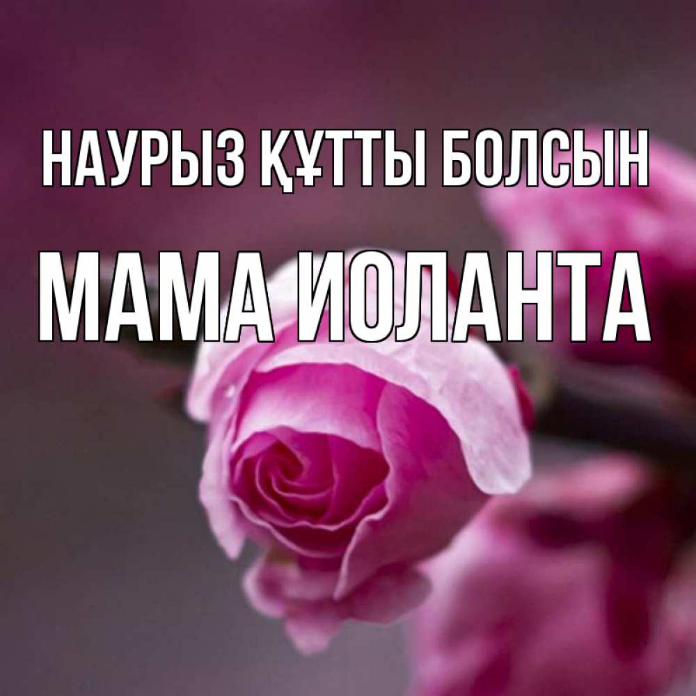 Открытка на каждый день с именем, Мама-Иоланта Наурыз құтты болсын весна Прикольная открытка с пожеланием онлайн скачать бесплатно 