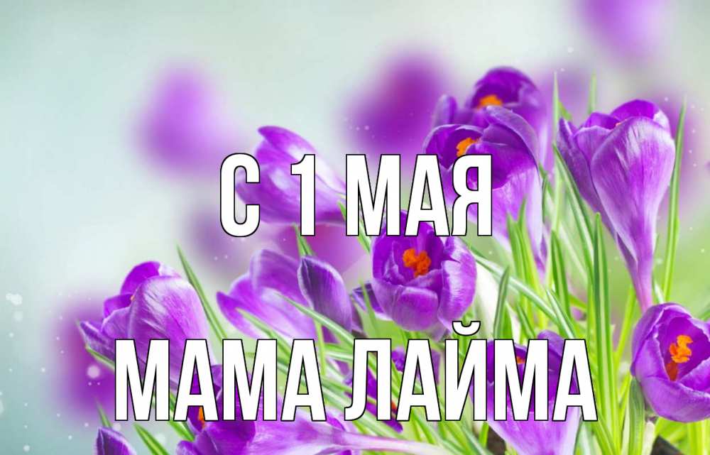 Открытка на каждый день с именем, Мама-Лайма С 1 мая 1 мая Прикольная открытка с пожеланием онлайн скачать бесплатно 