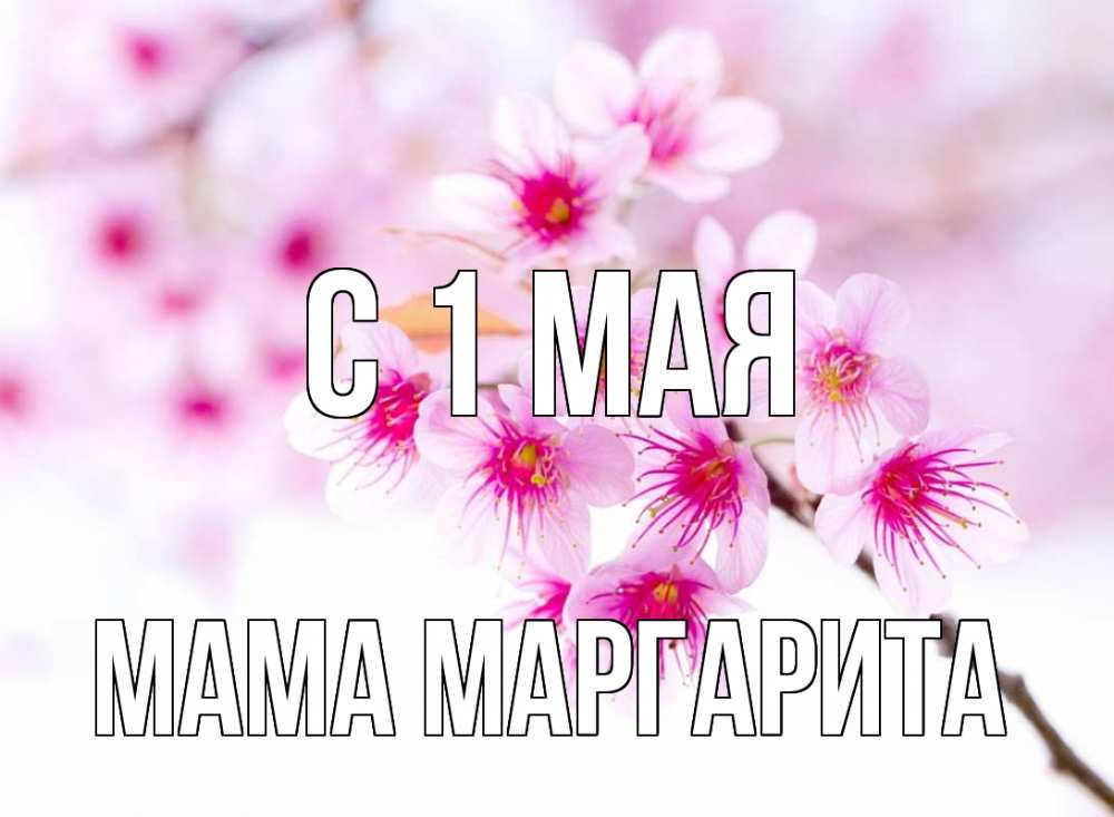 Открытка на каждый день с именем, Мама-Маргарита С 1 мая С 1 мая 2 Прикольная открытка с пожеланием онлайн скачать бесплатно 