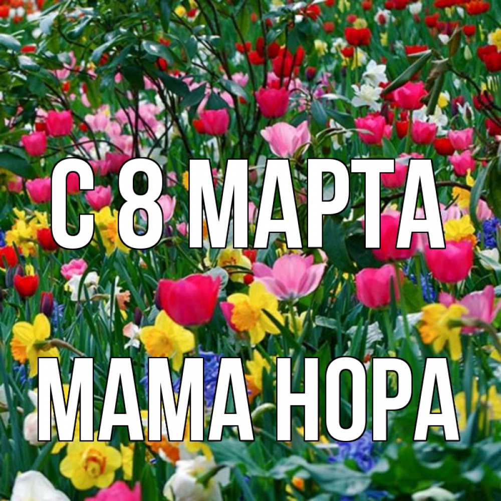 Открытка на каждый день с именем, Мама-Нора С 8 МАРТА с международным женским днем поздравления для женщины Прикольная открытка с пожеланием онлайн скачать бесплатно 