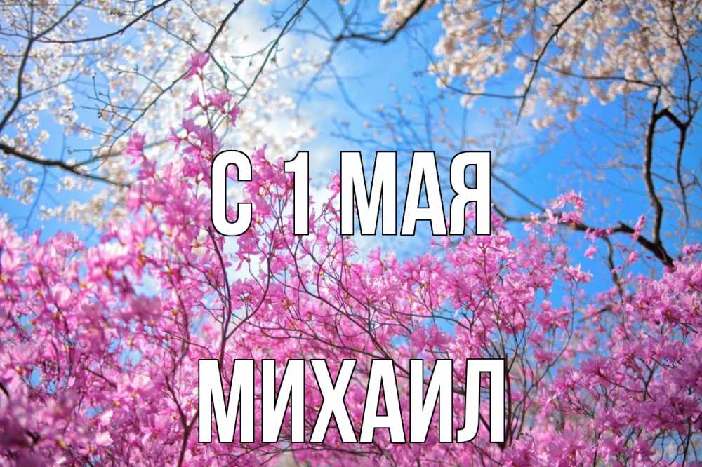Открытка на каждый день с именем, Михаил С 1 мая С 1 мая Прикольная открытка с пожеланием онлайн скачать бесплатно 