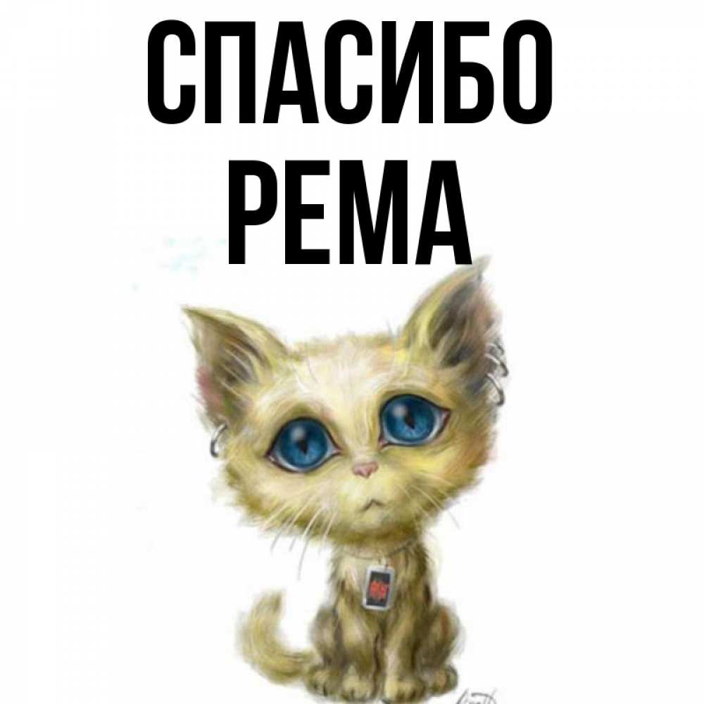 Открытка на каждый день с именем, Рема Спасибо рисованный кот благодарит вас Прикольная открытка с пожеланием онлайн скачать бесплатно 
