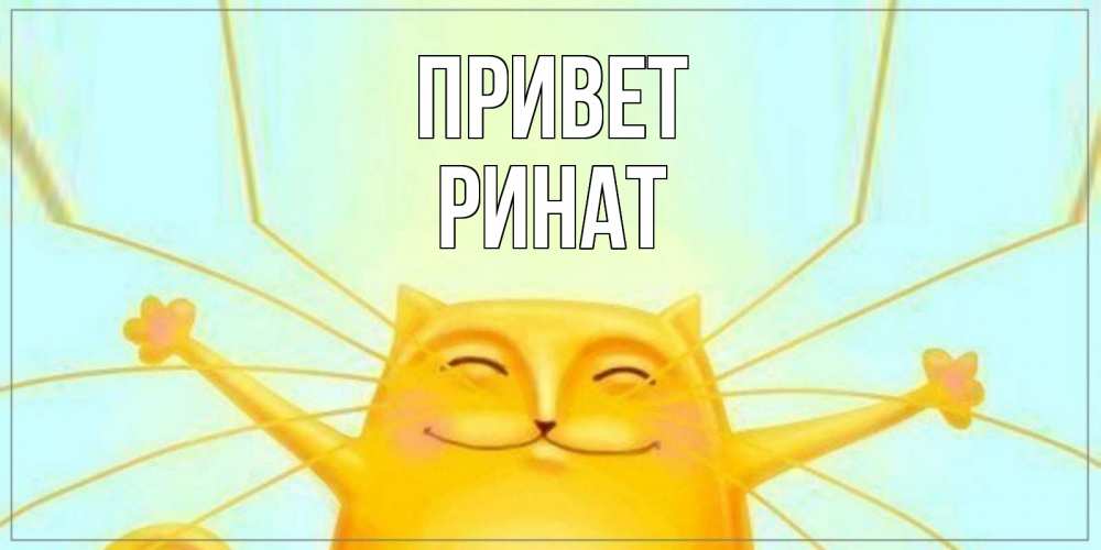 Открытка на каждый день с именем, Ринат Привет кот Прикольная открытка с пожеланием онлайн скачать бесплатно 