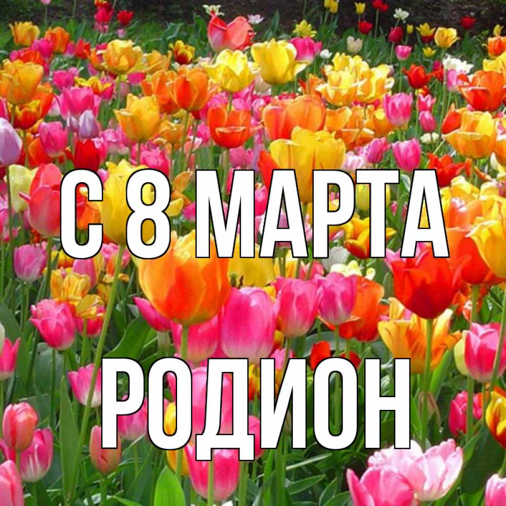 Открытка на каждый день с именем, Родион С 8 марта на международный женский день Прикольная открытка с пожеланием онлайн скачать бесплатно 