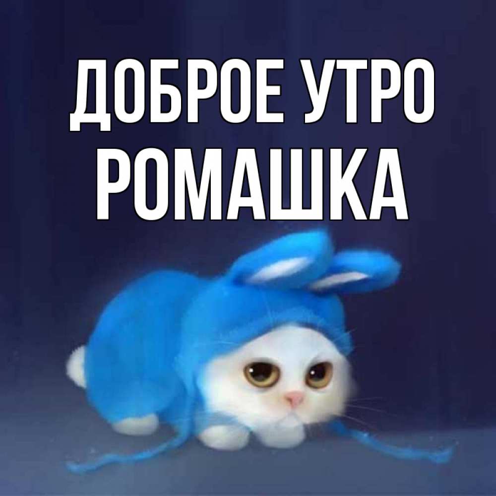 Открытка на каждый день с именем, Ромашка Доброе утро открытки красивые скачать бесплатно Прикольная открытка с пожеланием онлайн скачать бесплатно 