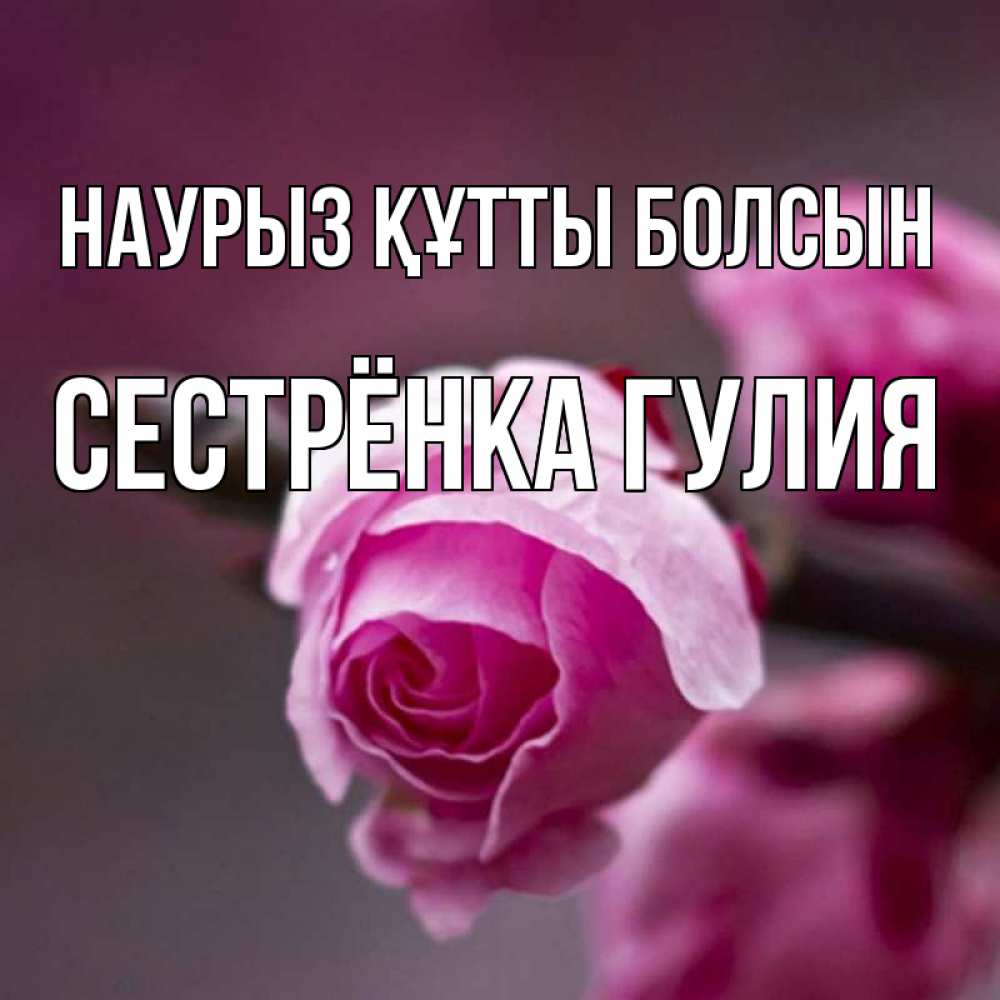 Открытка на каждый день с именем, Сестрёнка-Гулия Наурыз құтты болсын весна Прикольная открытка с пожеланием онлайн скачать бесплатно 