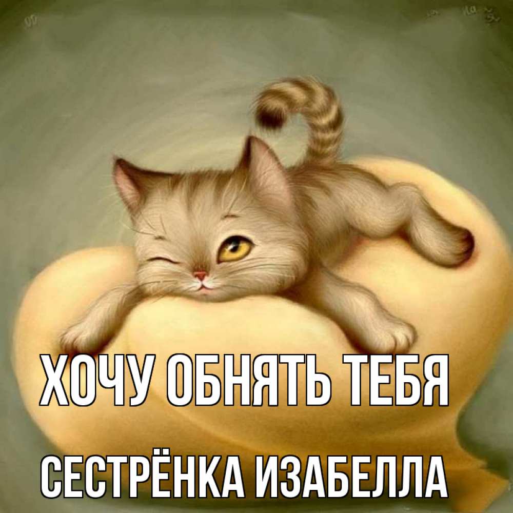 Открытка на каждый день с именем, Сестрёнка-Изабелла Хочу обнять тебя кошечка Прикольная открытка с пожеланием онлайн скачать бесплатно 