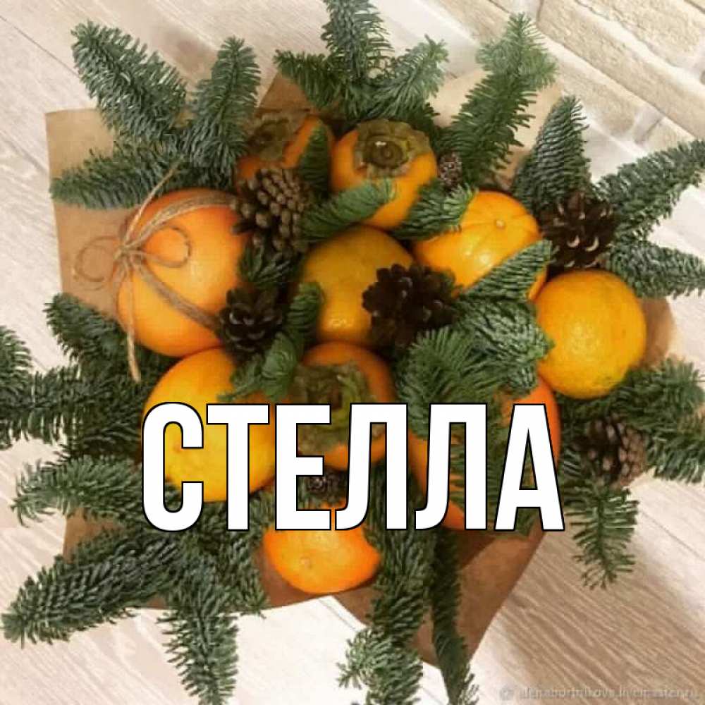 Открытка на каждый день с именем, Стелла Главная апельсины и хурьма Прикольная открытка с пожеланием онлайн скачать бесплатно 