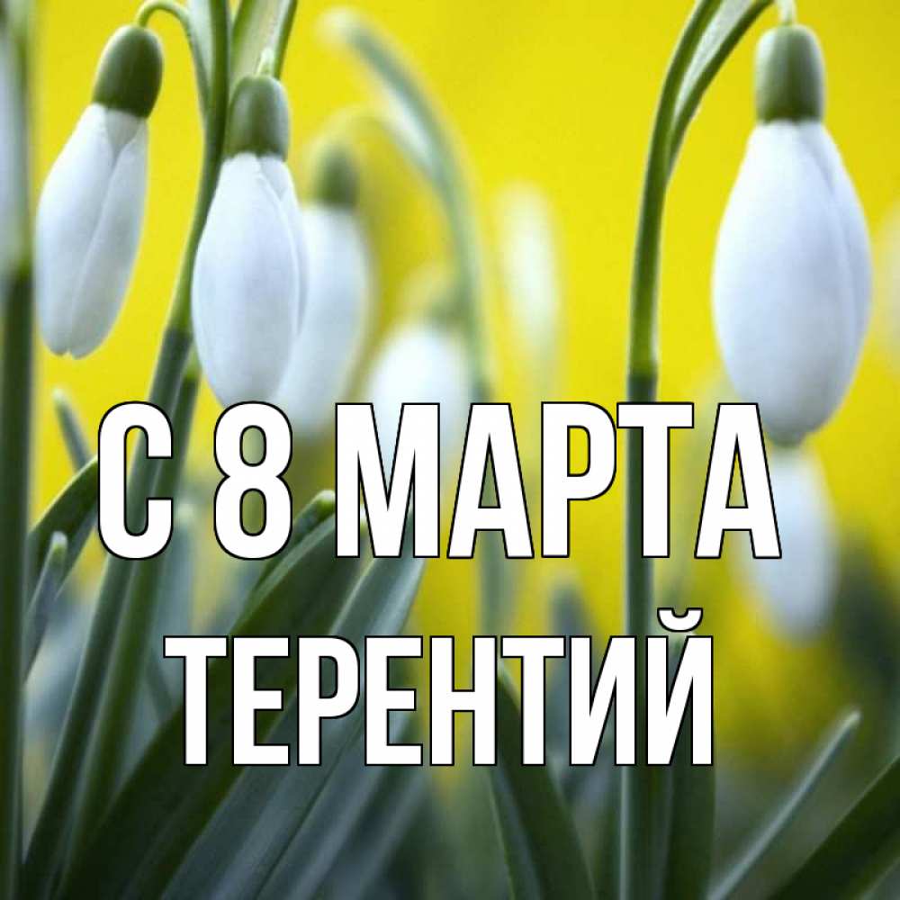 Открытка на каждый день с именем, Терентий С 8 МАРТА весенние цветы Прикольная открытка с пожеланием онлайн скачать бесплатно 