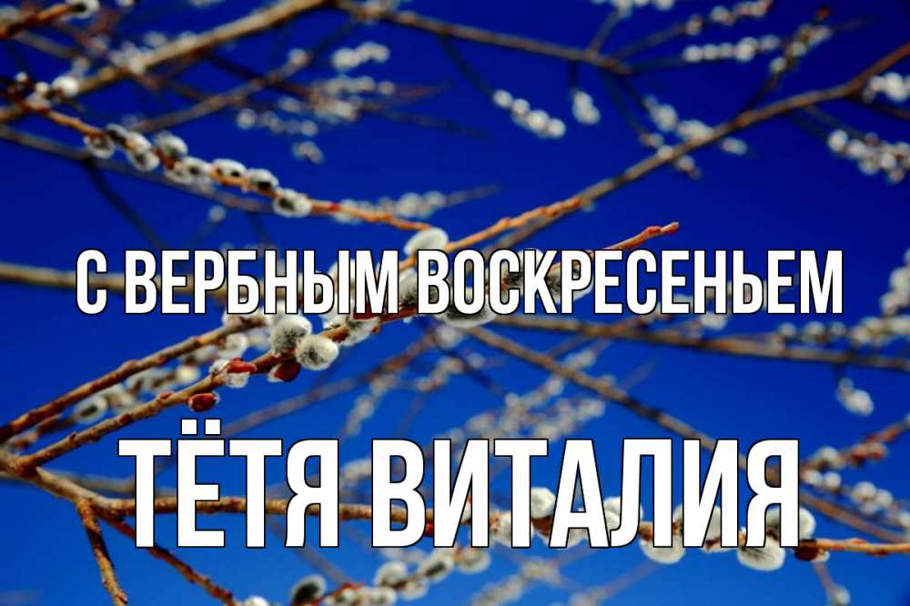 Открытка на каждый день с именем, Тётя-Виталия С вербным воскресеньем верба Прикольная открытка с пожеланием онлайн скачать бесплатно 