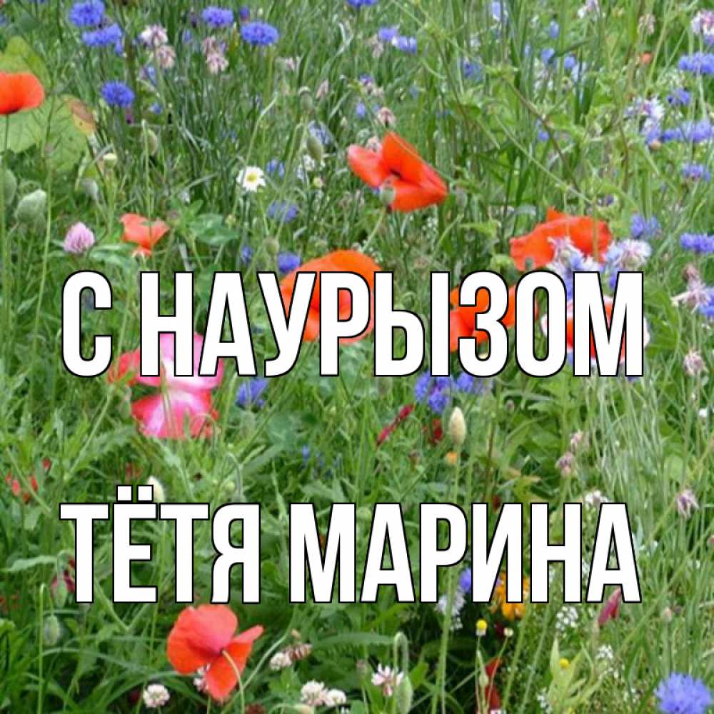 Открытка на каждый день с именем, Тётя-Марина С наурызом праздник весны наурыз супер открытка Прикольная открытка с пожеланием онлайн скачать бесплатно 