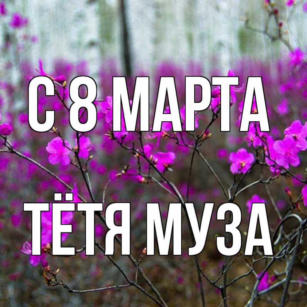 Открытка на каждый день с именем, Тётя-Муза С 8 МАРТА дикие цветы Прикольная открытка с пожеланием онлайн скачать бесплатно 