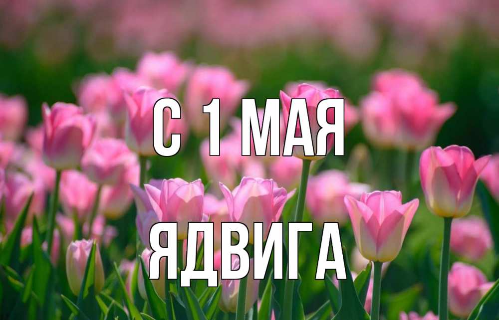 Открытка на каждый день с именем, Ядвига С 1 мая С 1 мая Прикольная открытка с пожеланием онлайн скачать бесплатно 