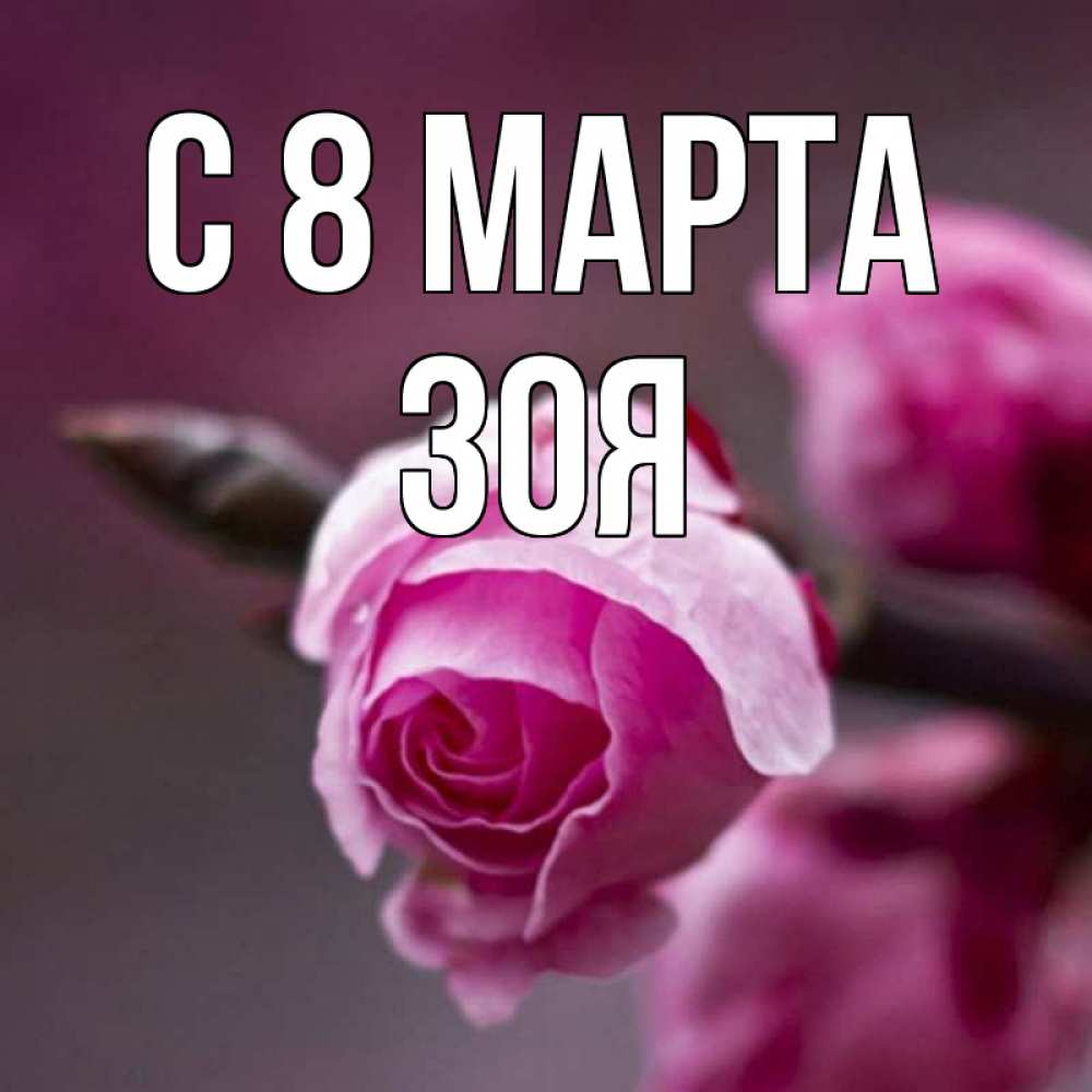 Открытка на каждый день с именем, зоя С 8 МАРТА весна Прикольная открытка с пожеланием онлайн скачать бесплатно 