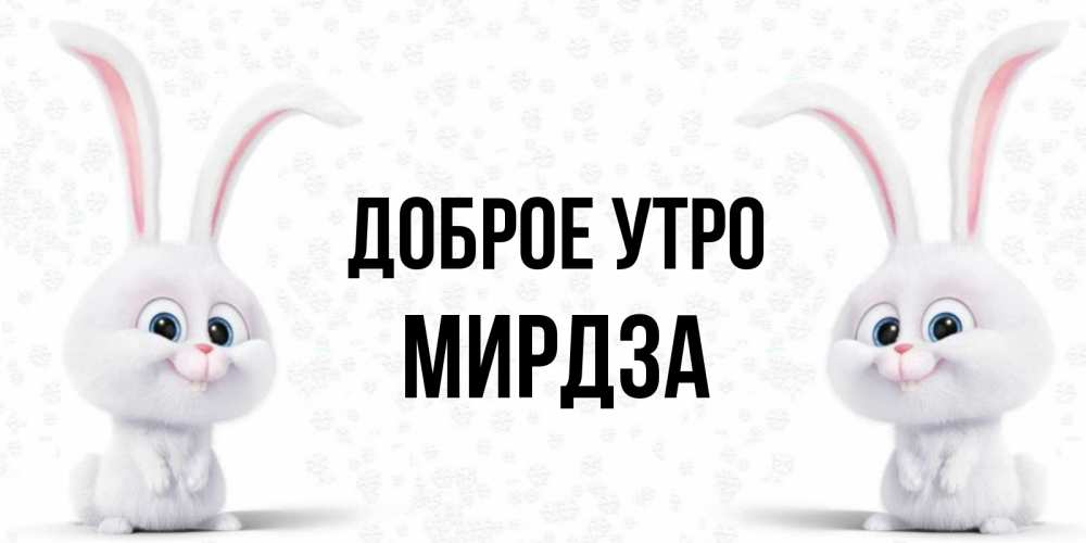 Открытка на каждый день с именем, Мирдза Доброе утро кролики с длинными ушками Прикольная открытка с пожеланием онлайн скачать бесплатно 