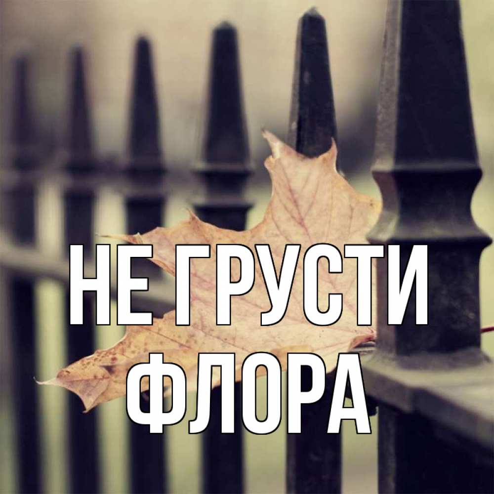 Открытка на каждый день с именем, Флора Не грусти лист клена Прикольная открытка с пожеланием онлайн скачать бесплатно 