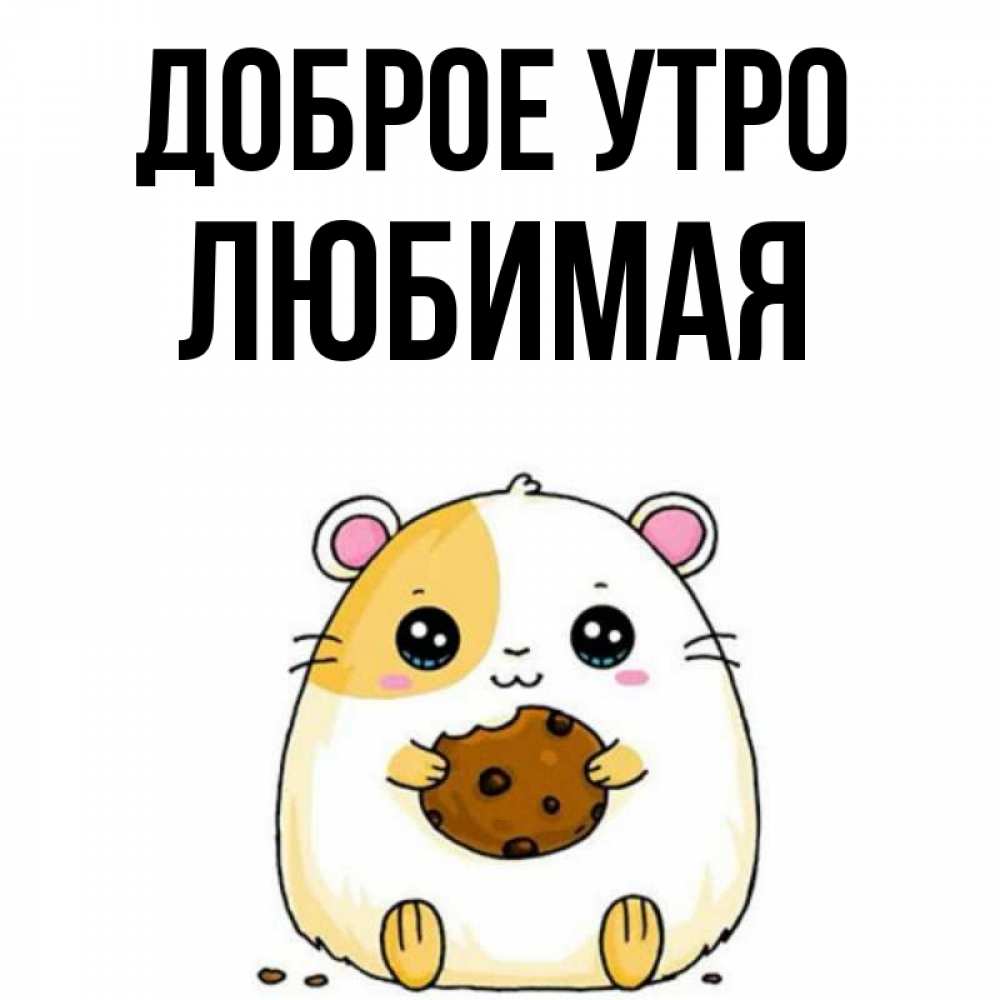 Открытка на каждый день с именем, Любимая Доброе утро есть печеньку. Утречко Прикольная открытка с пожеланием онлайн скачать бесплатно 