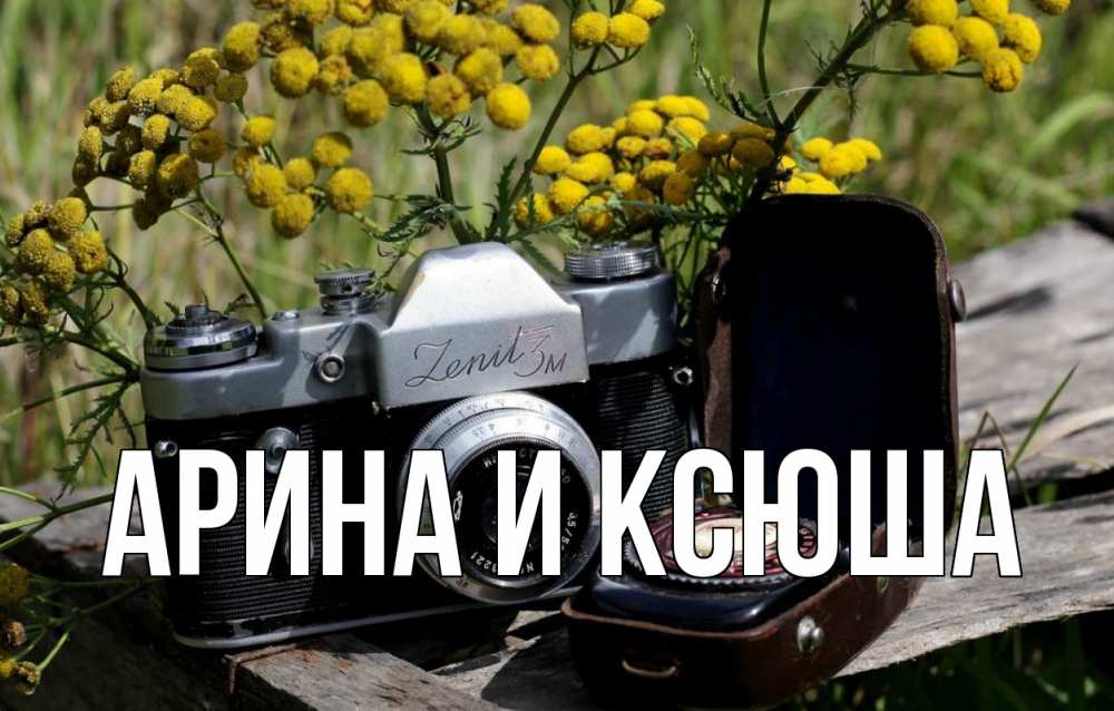 Открытка на каждый день с именем, Арина-и-Ксюша Главная с днем фотографа Прикольная открытка с пожеланием онлайн скачать бесплатно 